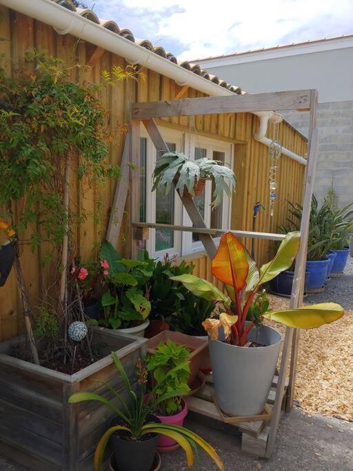 Studio Cocooning لو بورغ المظهر الخارجي الصورة